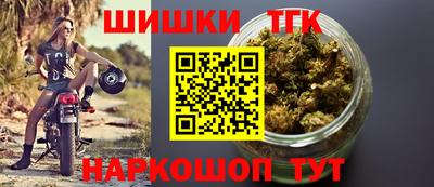 спиды Новодвинск