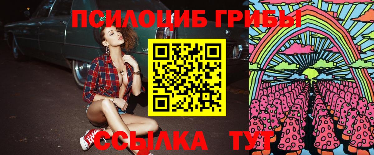 Псилоцибиновые грибы мухоморы Фролово