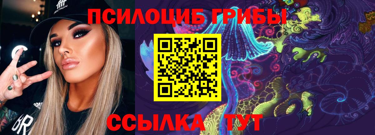 Псилоцибиновые грибы MAGIC MUSHROOMS  Псилоцибиновые грибы мицелий  Фролово  Вход с VPN 